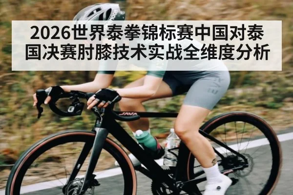 2026世界泰拳锦标赛中国对泰国决赛肘膝技术实战全维度分析